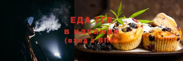 стафф Касимов