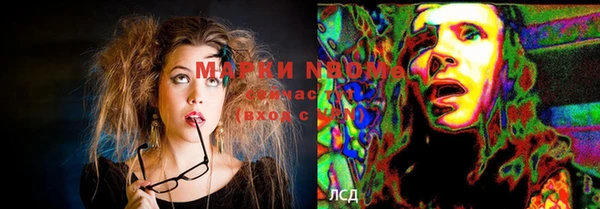 стафф Касимов