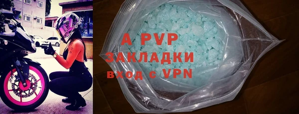 стафф Касимов