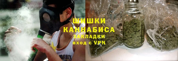 стафф Касимов