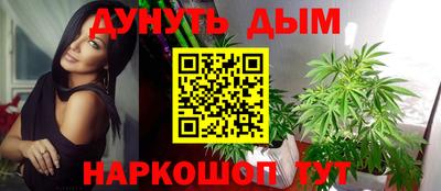 спайс Шелехов