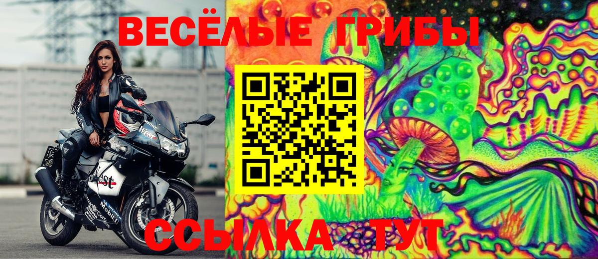 Истра  Галлюциногенные грибы MAGIC MUSHROOMS  Галлюциногенные грибы Psilocybine cubensis  Вход с VPN 