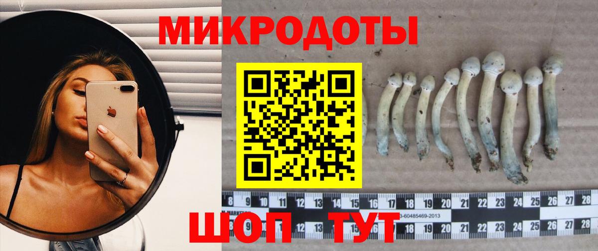 Галлюциногенные грибы мухоморы Истра